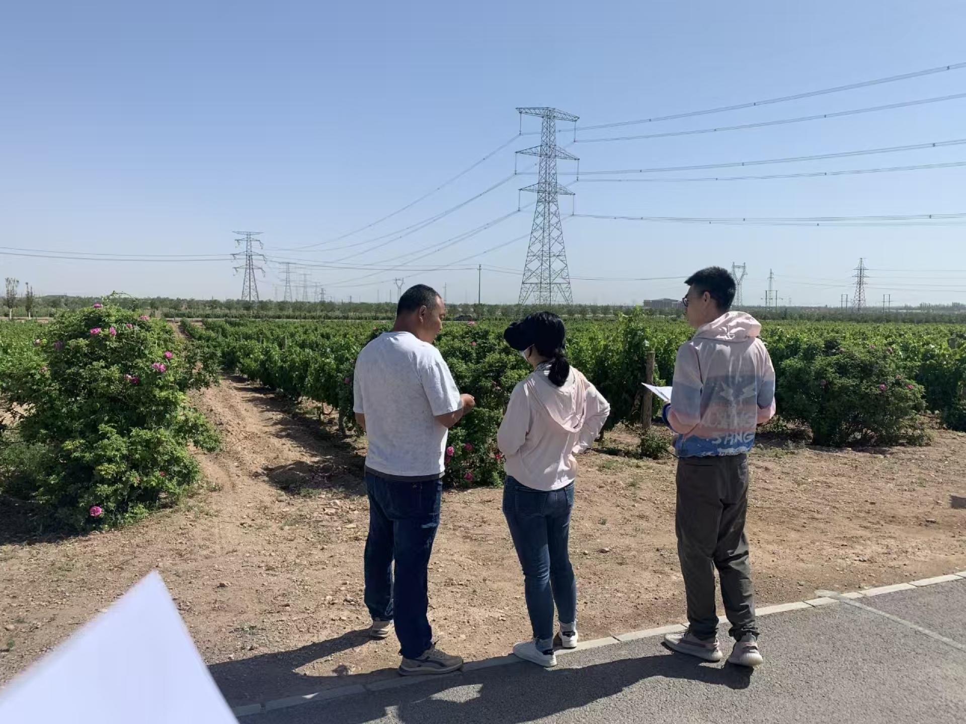 Establishing China’s First Carbon Footprint Standards for the Wine Industry: The Ningxia Model