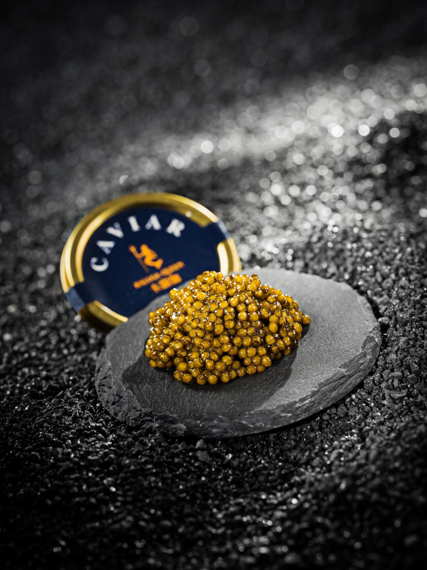 Hangzhou Qiandaohu Xunlong Sci-tech Co., Ltd.