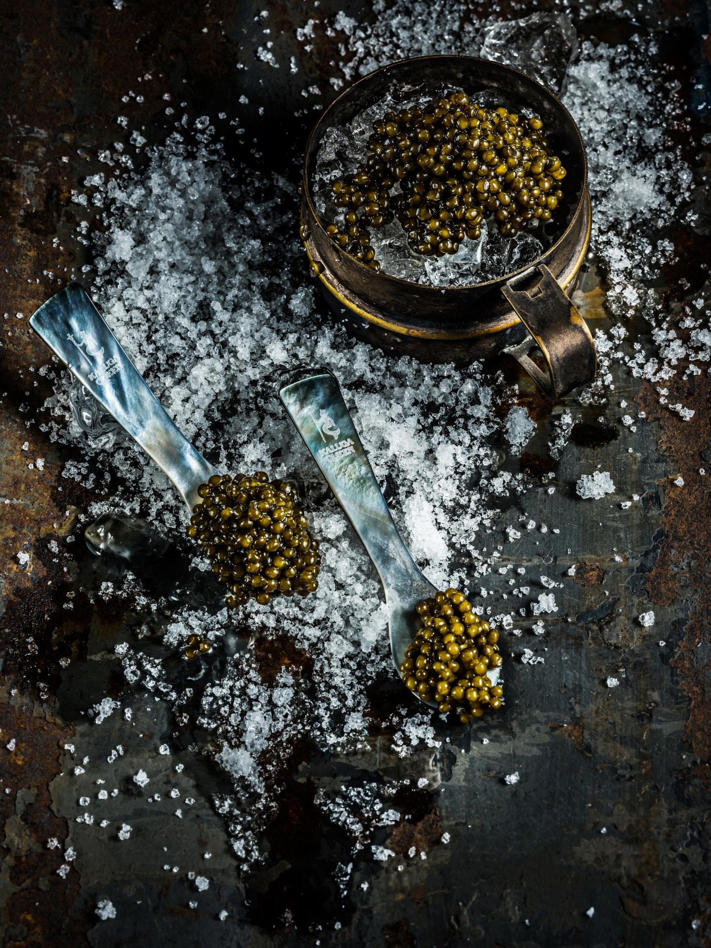 Hangzhou Qiandaohu Xunlong Sci-tech Co., Ltd.