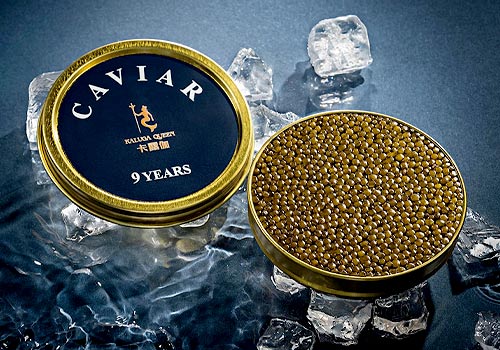 2026 Noble Business Winner - Hangzhou Qiandaohu Xunlong Sci-tech Co., Ltd.